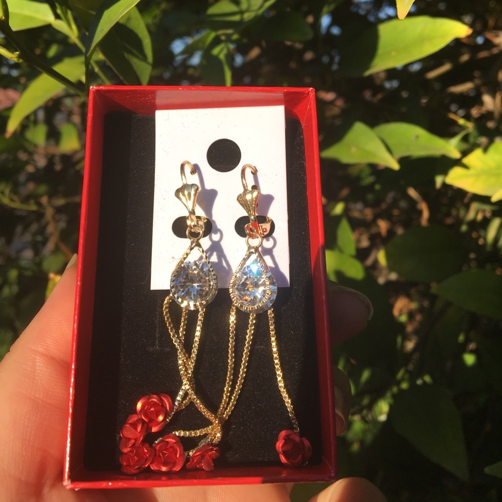 Rose earrings ❤️